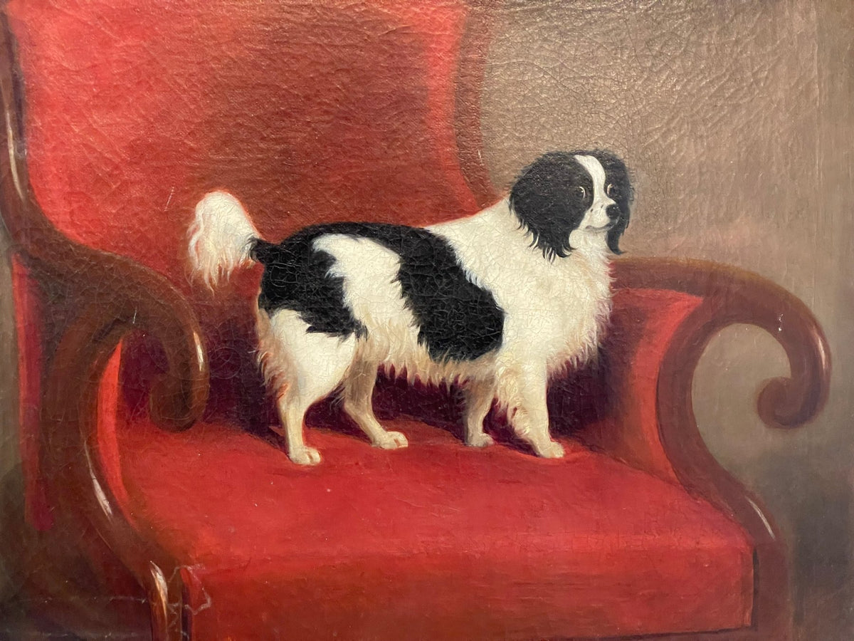 19th Century Charming Oil on Canvas Portrait of a Spaniel - Helen Storey Antiques