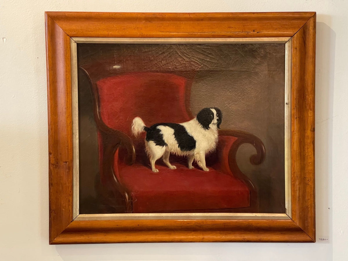 19th Century Charming Oil on Canvas Portrait of a Spaniel - Helen Storey Antiques