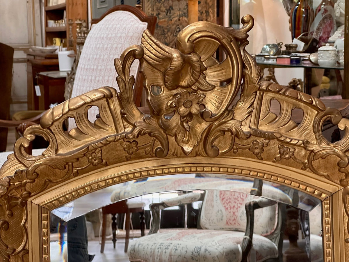 19th Century French Carved, gilded, molded mirror - Helen Storey Antiques