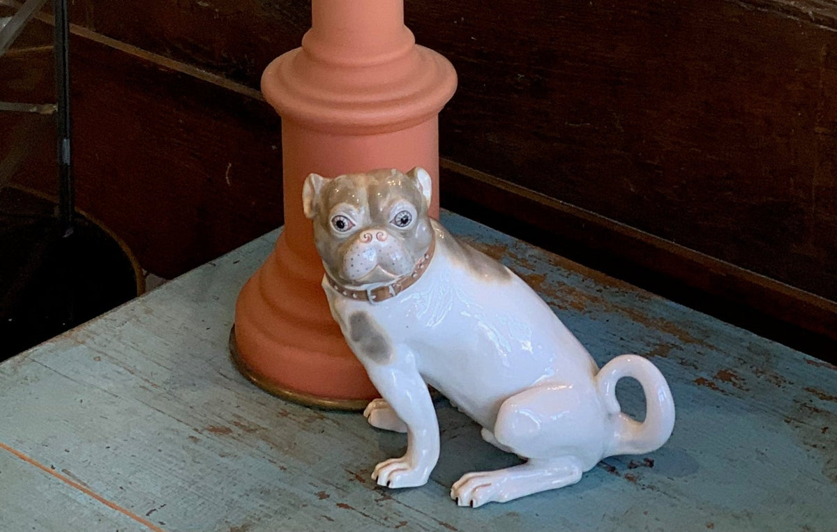 19th Century Porcelain Pug - Helen Storey Antiques