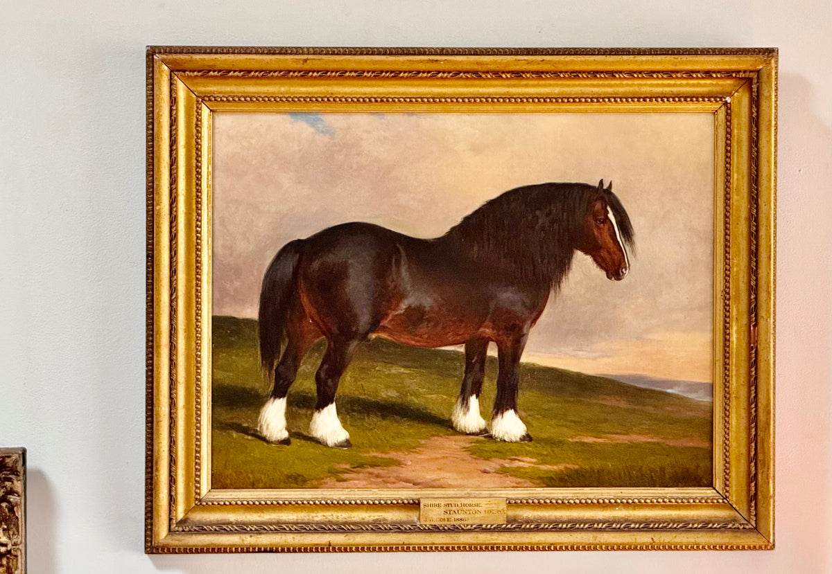 James William Cole (English, act.1849-1889) &quot;Staunton Hero&quot;, Shire stud horse, Oil on Canvas