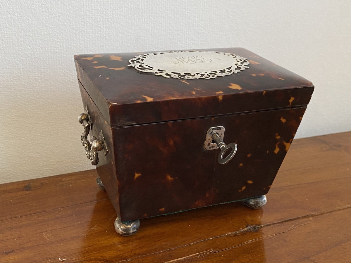 Charming Tortoiseshell Tea Caddy, Sterling Mounted - Helen Storey Antiques