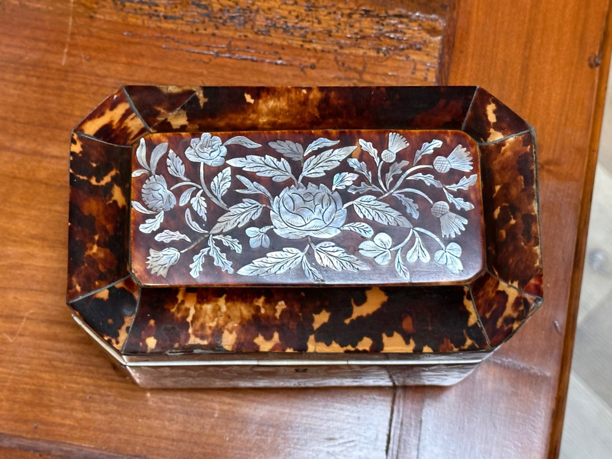 English Regency Period Tortoiseshell Tea Caddy - Helen Storey Antiques