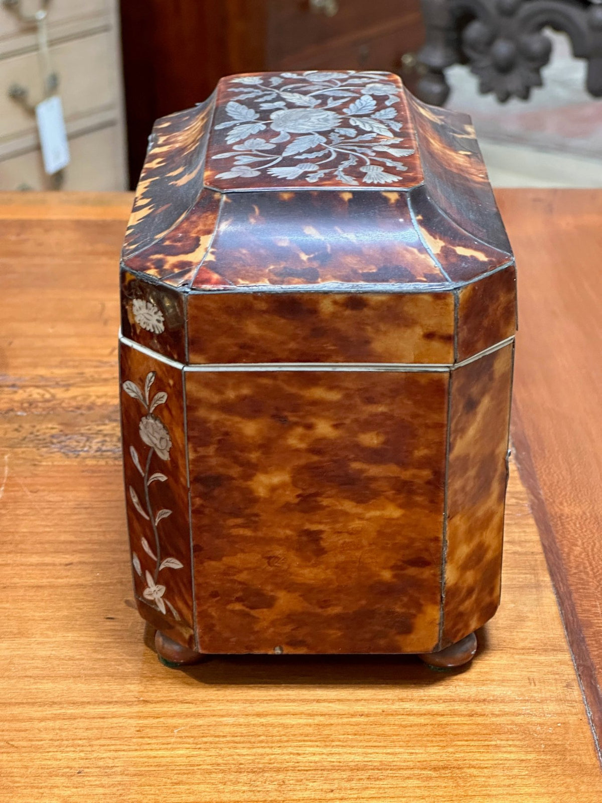 English Regency Period Tortoiseshell Tea Caddy - Helen Storey Antiques