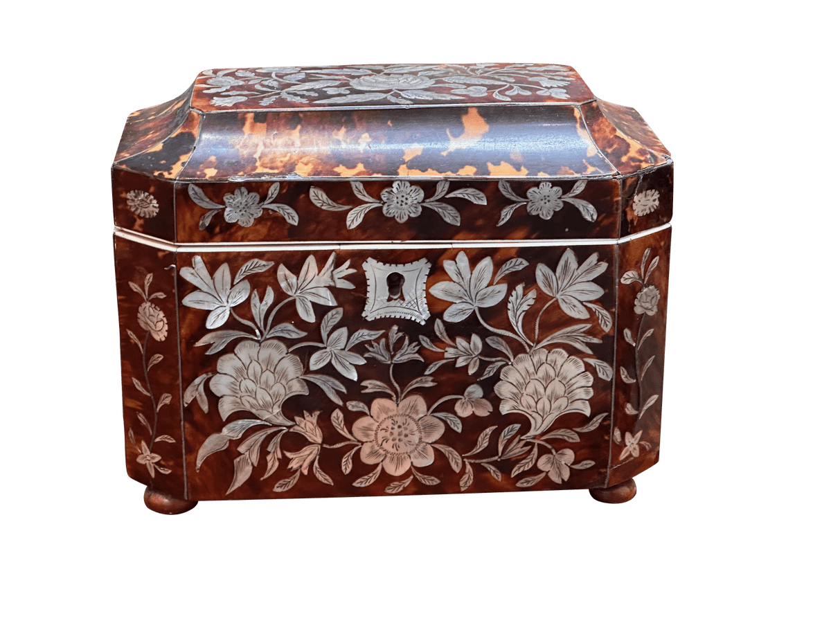 English Regency Period Tortoiseshell Tea Caddy - Helen Storey Antiques