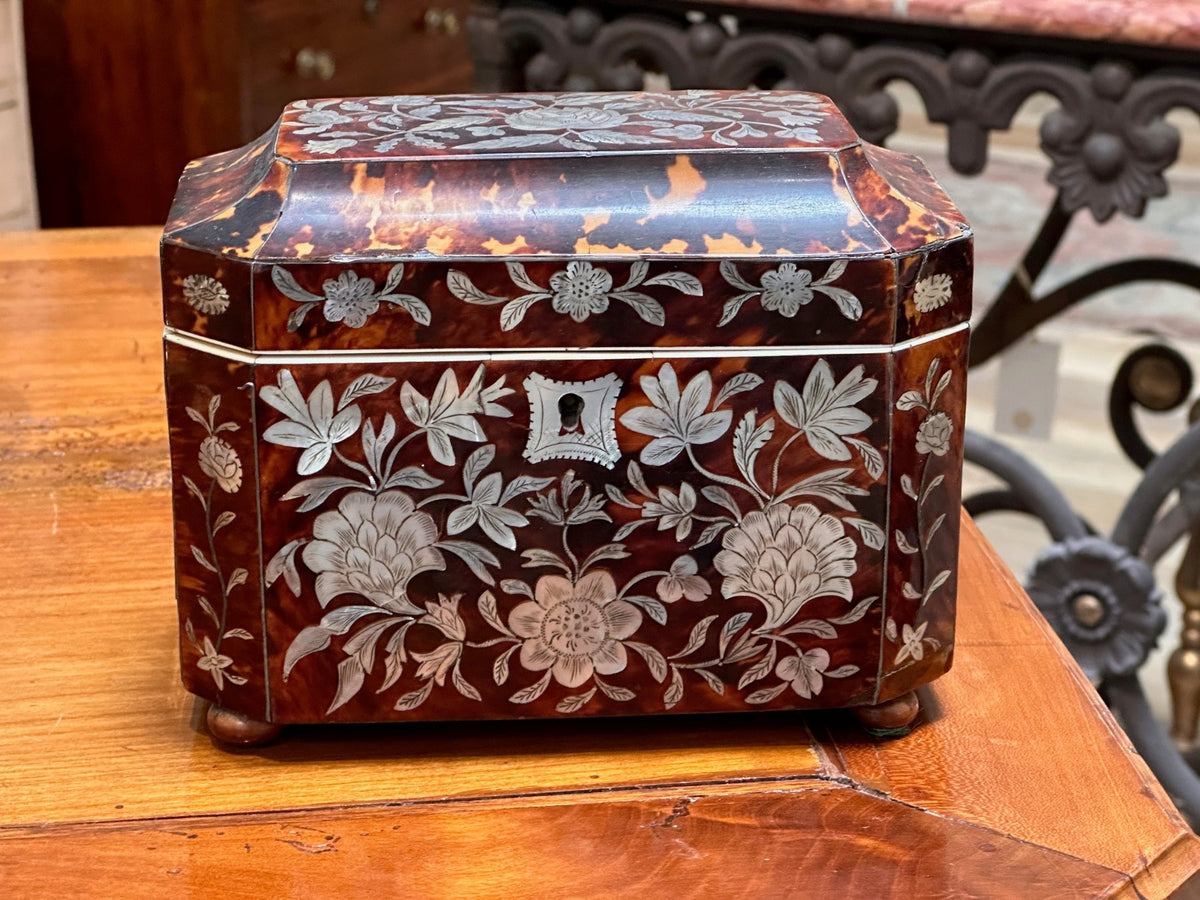 English Regency Period Tortoiseshell Tea Caddy - Helen Storey Antiques