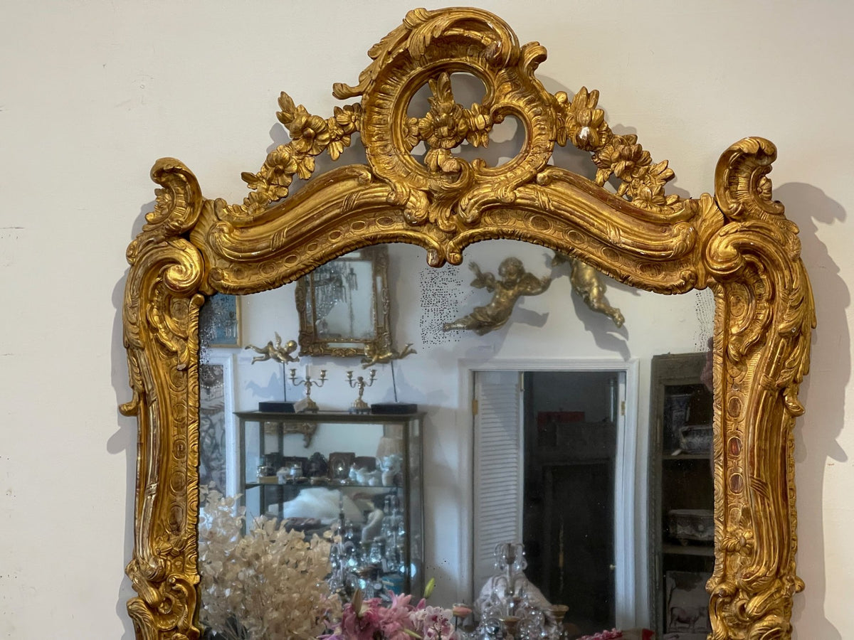 Fine Louise XV Carved Gilt Mirror c. 1750 - Helen Storey Antiques