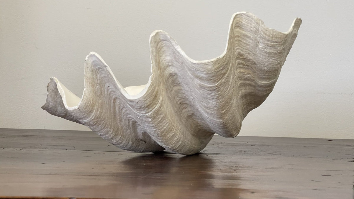 GIANT CLAM SHELLS - Helen Storey Antiques