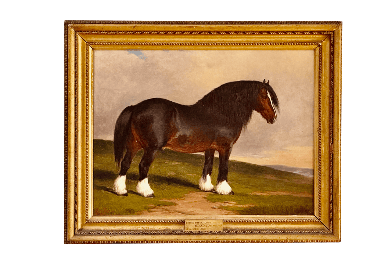 James William Cole (English, act.1849 - 1889) &quot;Staunton Hero&quot;, Shire stud horse, Oil on Canvas - Helen Storey Antiques