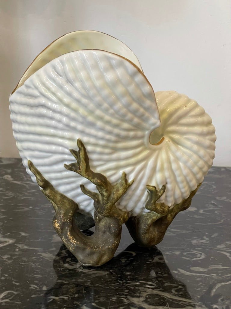 LATE 19TH CENTURY Lizard on Nautilus with PAIR OF PORCELAIN NAUTILUS SHELL VASES - Helen Storey Antiques