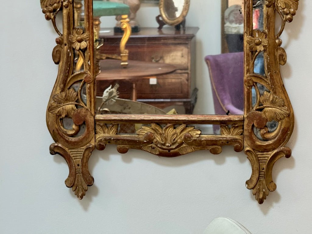 Louis XVI French Provincial carved and gilded mirror - Helen Storey Antiques