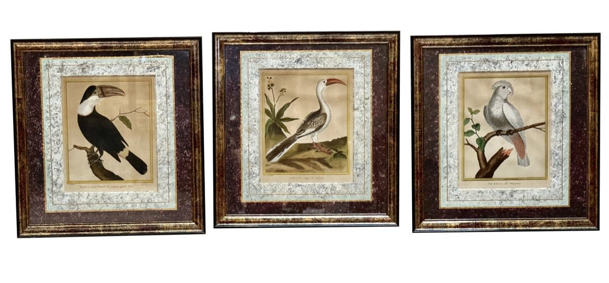 Martinet Engravings, Framed, Set of Three, Late 18th Century - Helen Storey Antiques