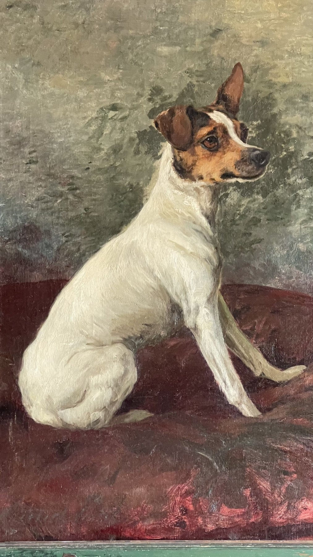 MAUD EARL OIL ON CANVAS - JACK RUSSELL TERRIER - Helen Storey Antiques