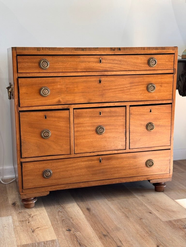 Regency Mahogany Campaign Chest - Helen Storey Antiques