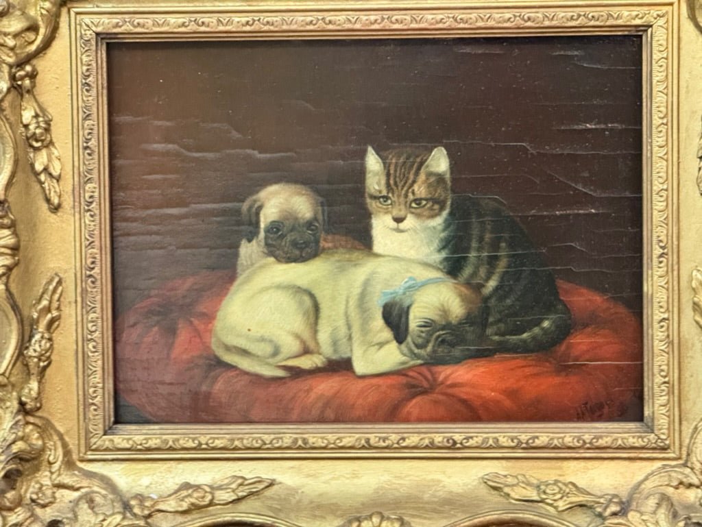 Two Pugs and a Cat 19th Century Oil Painting - Helen Storey Antiques