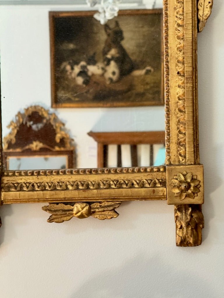 French Provincial Carved Gilt Mirror - Helen Storey Antiques