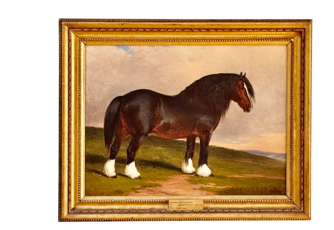 James William Cole (English, act.1849 - 1889) &quot;Staunton Hero&quot;, Shire stud horse, dated 1886. - Helen Storey Antiques