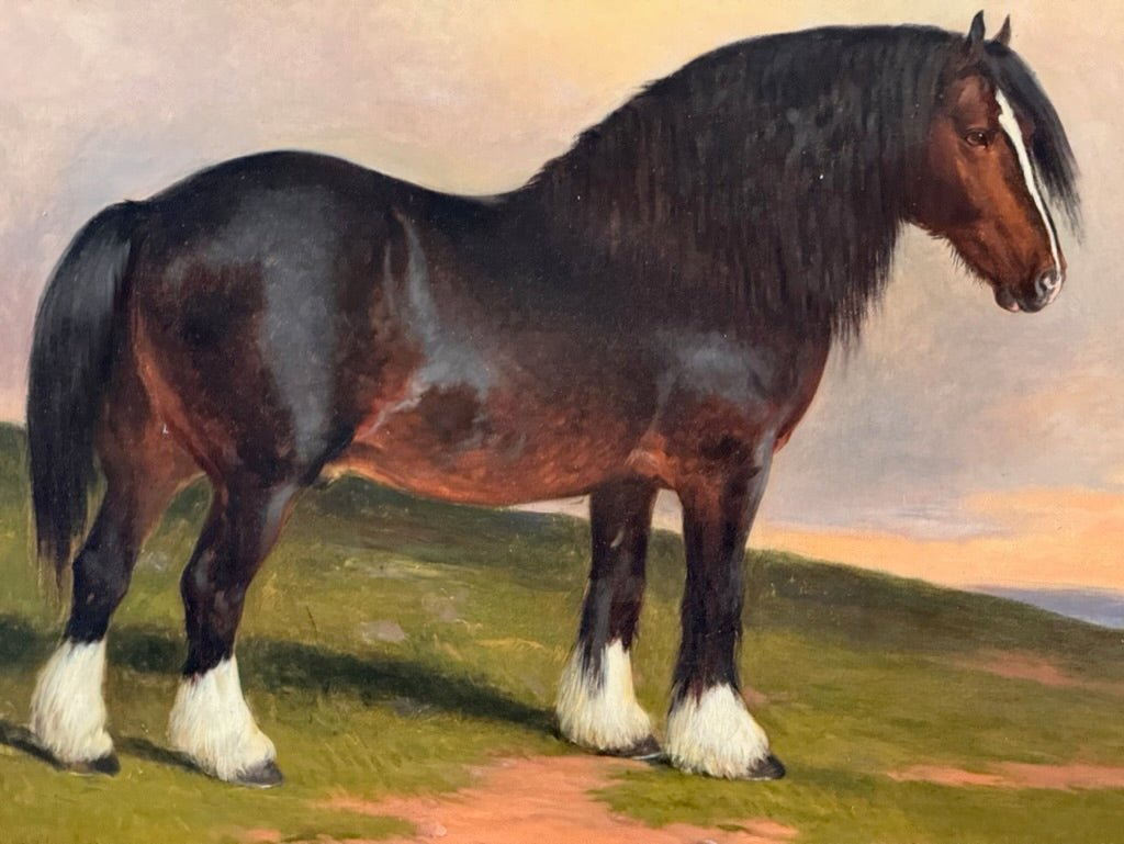 James William Cole (English, act.1849 - 1889) &quot;Staunton Hero&quot;, Shire stud horse, dated 1886. - Helen Storey Antiques